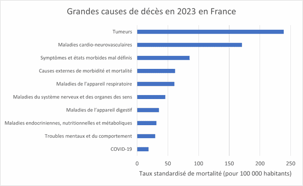 Causes de décès en France en 2023