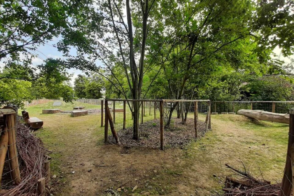 Le caniparc au coeur du parc de la Citadelle est ouvert depuis le 15 juillet 2025.