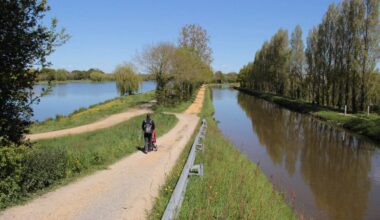 des cyanobactéries sur un étang près du canal de Nantes à Brest