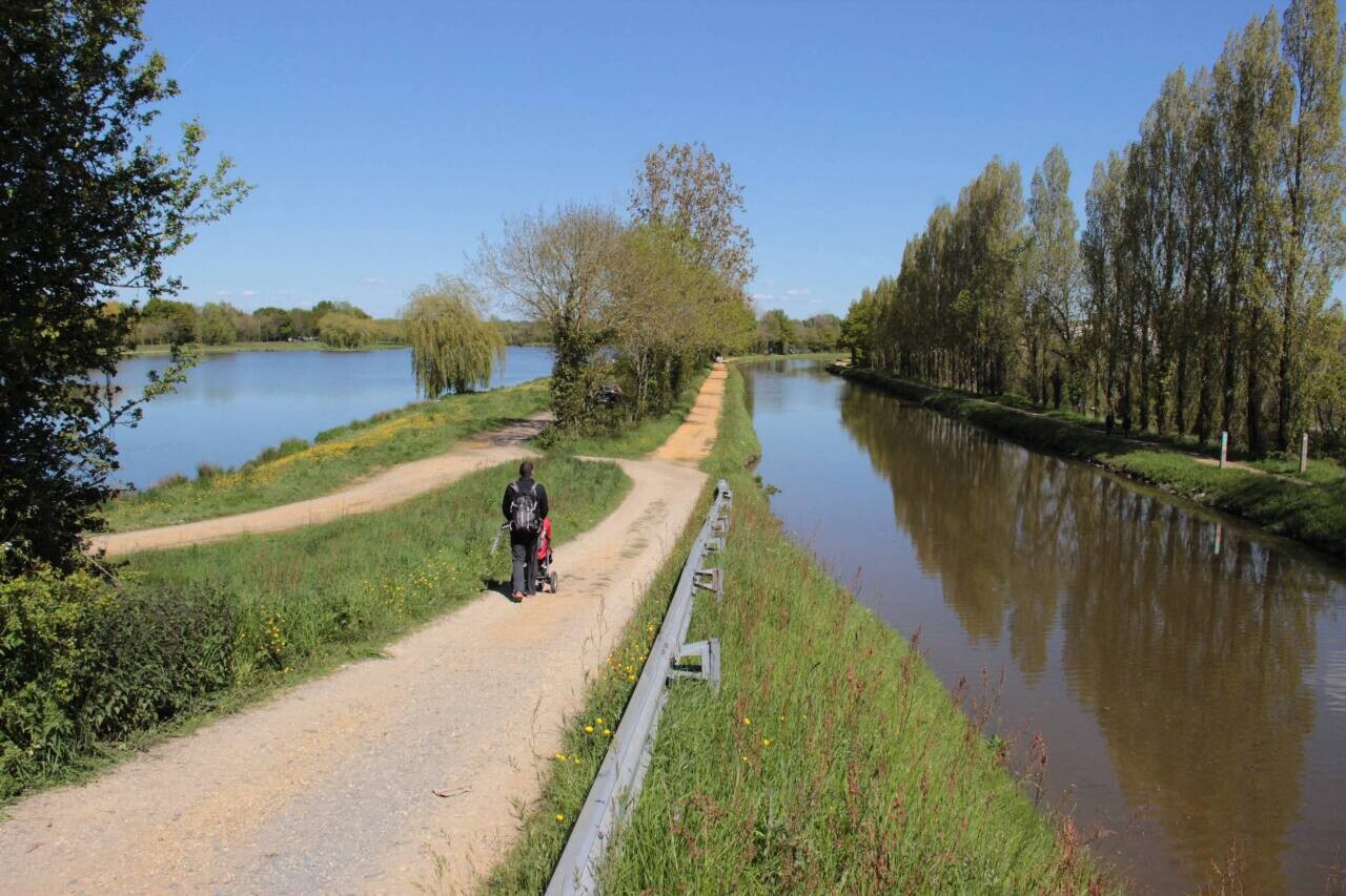 des cyanobactéries sur un étang près du canal de Nantes à Brest