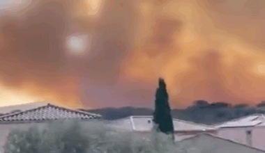 Feux de forêt en France : un incendie parcourt 320 hectares au sud de Montpellier (vidéo)