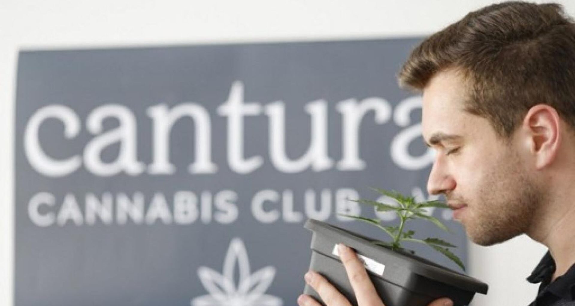 Allemagne : près de 300 clubs de cannabis approuvés un an après la légalisation