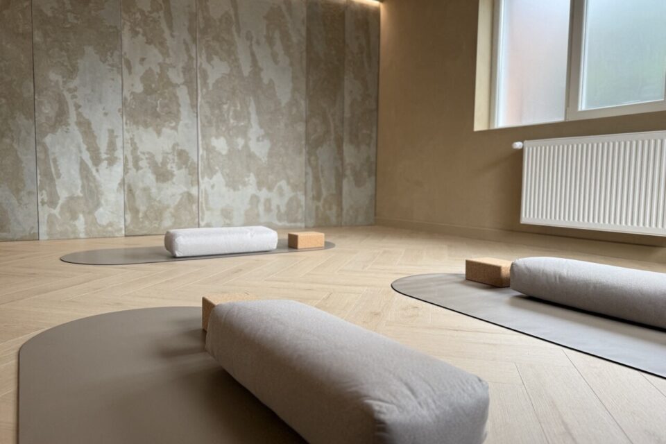 studio sola pilates reformer yoga lille sud wattignies