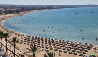 Si ce n’est pas un requin, quel est ce poisson qui a provoqué l’évacuation d’une plage en Méditerranée ?