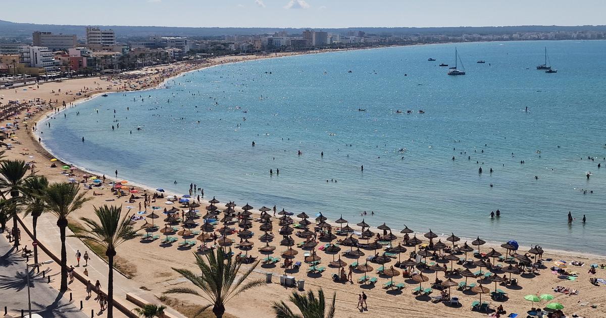 Si ce n’est pas un requin, quel est ce poisson qui a provoqué l’évacuation d’une plage en Méditerranée ?