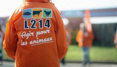 L214 organise une action contre un supermarché près de Nantes