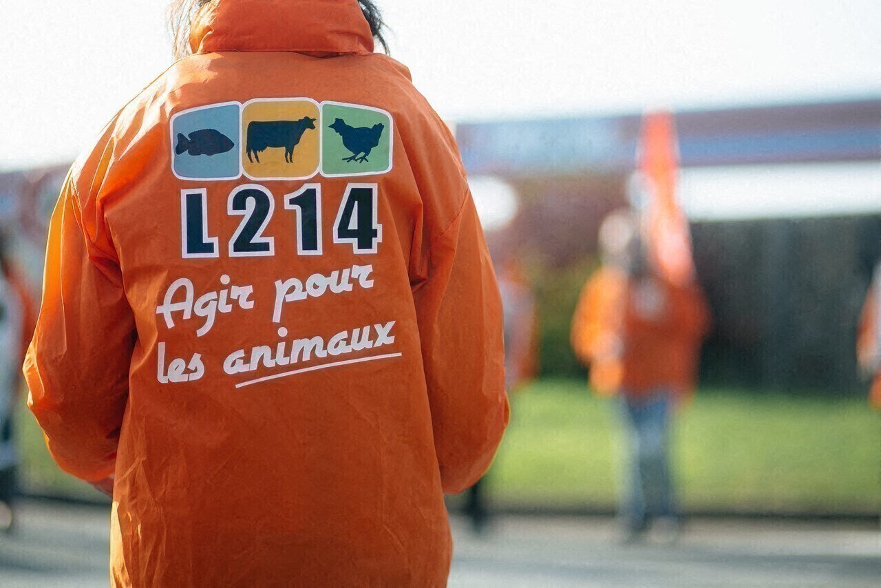 L214 organise une action contre un supermarché près de Nantes