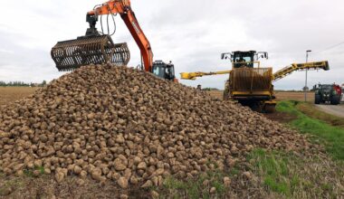 face à une pétition «orchestrée», les syndicats agricoles défendent la loi Duplomb
