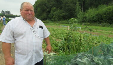 près de Rouen, les jardins n'ont pas résisté au passage de l'orage de grêle