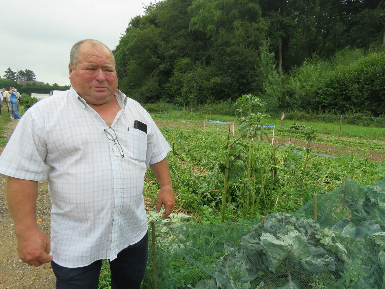 près de Rouen, les jardins n'ont pas résisté au passage de l'orage de grêle