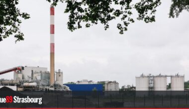 Strasbourg. Blue Paper a dépassé les limites d'émissions de particules toxiques