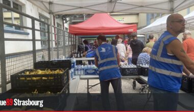 À Strasbourg, les associations obligées de rationner les distributions alimentaires