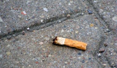 Mégots, chewing-gums, sacs-poubelle… Jeter vos déchets dans la rue va vous coûter cher à Strasbourg