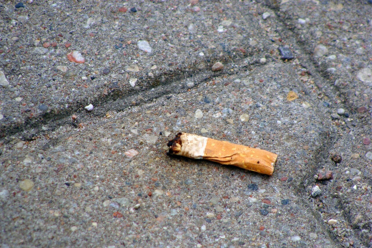 Mégots, chewing-gums, sacs-poubelle… Jeter vos déchets dans la rue va vous coûter cher à Strasbourg