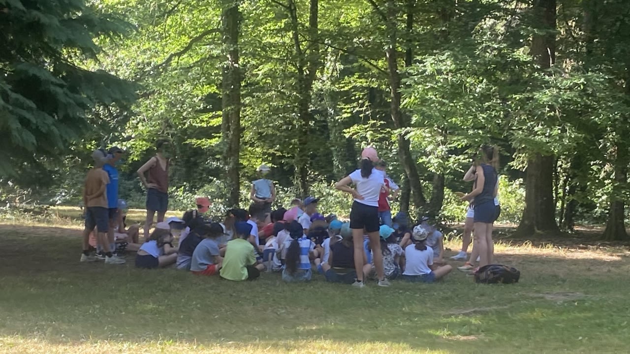 Des enfants se sont mis au frais dans la forêt du domaine de Givray, à Ligugé (Vienne).