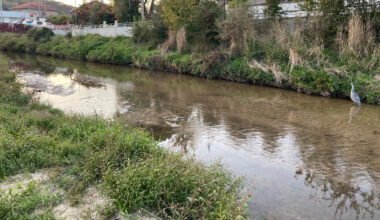 190 actions pour renforcer les ambitions dans la Métropole de Lyon