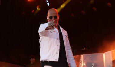 Pascal Obispo enchante 7.000 personnes au parc de Blossac