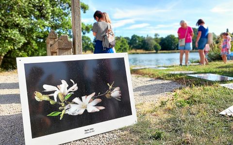 Les photos au grand format sont visibles dans divers endroits de Lamballe, du plan d’eau de la Ville-Gaudu au haras.