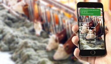 À Rennes, le spécialiste de l’IA pour l’agriculture Dilepix change de main