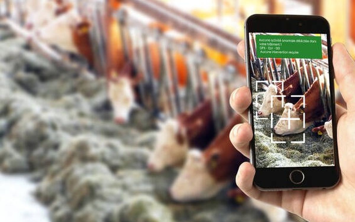 À Rennes, le spécialiste de l’IA pour l’agriculture Dilepix change de main