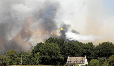 Feux de forêt : en Ille-et-Vilaine, des interdictions et restrictions mises en place jusqu'à mardi