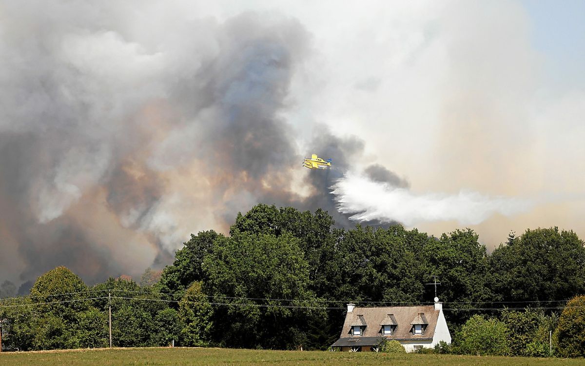 Feux de forêt : en Ille-et-Vilaine, des interdictions et restrictions mises en place jusqu'à mardi