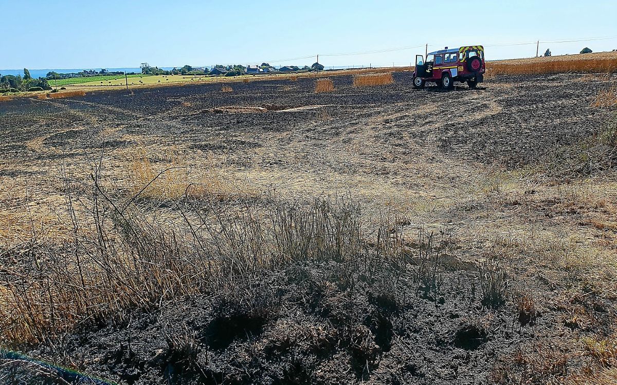 Dans le Finistère, plus de 15 hectares de champs détruits par des incendies