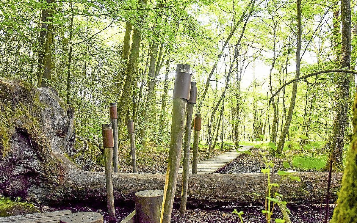 Pour changer d’air : 4 destinations facilement accessibles en bus depuis Rennes