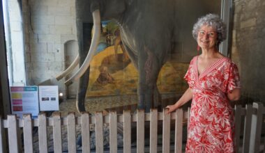 à Tours, la plasticienne Évelyne Plumecocq peint une fresque pour le célèbre pachyderme