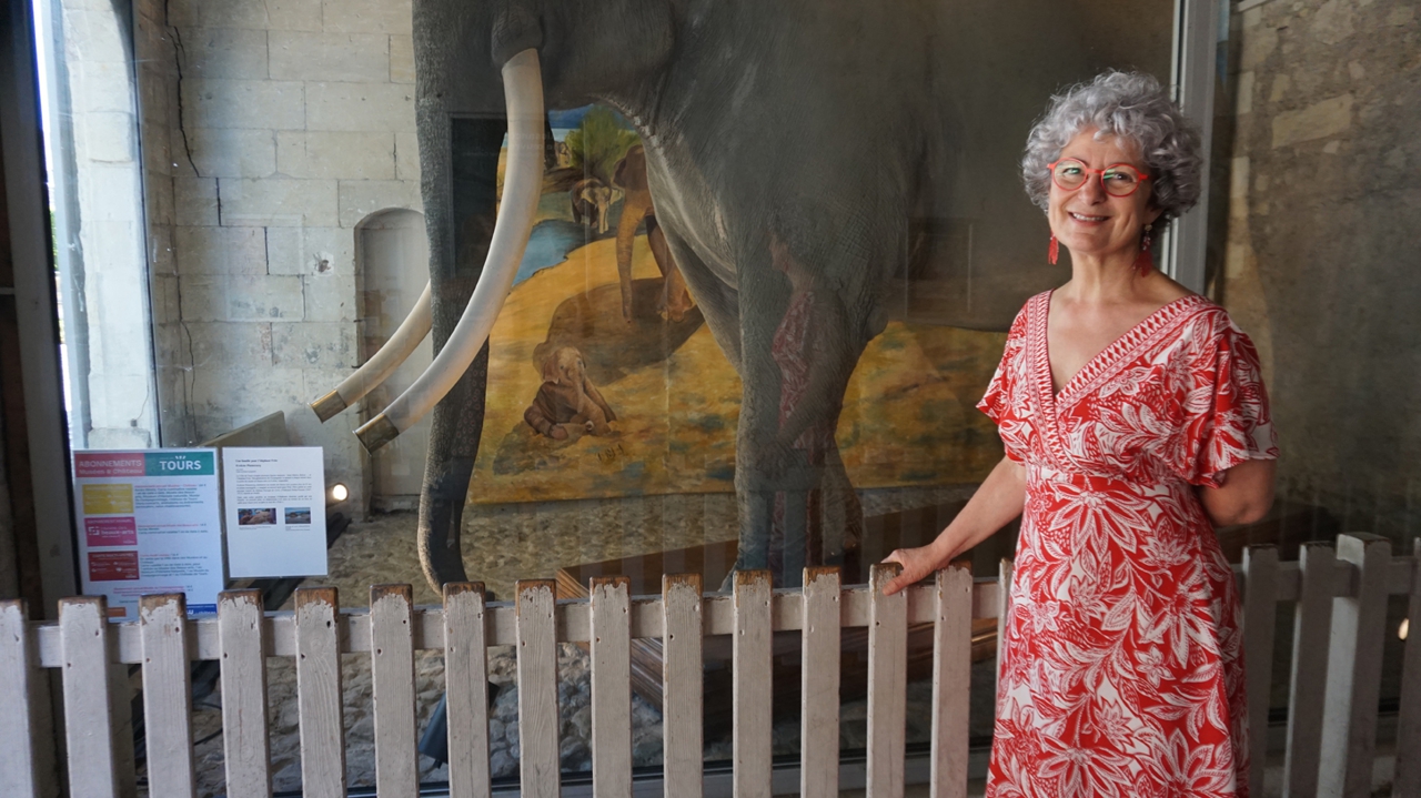 à Tours, la plasticienne Évelyne Plumecocq peint une fresque pour le célèbre pachyderme