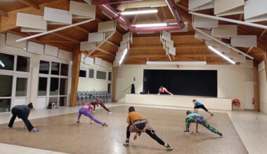Vitamine et la Zumba dans le sang à Saint-Étienne-de-Chigny
