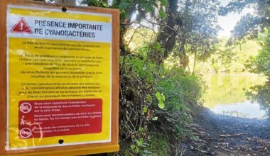 Des bactéries détectées dans l’eau : deux étangs d’Ille-et-Vilaine interdits à la baignade