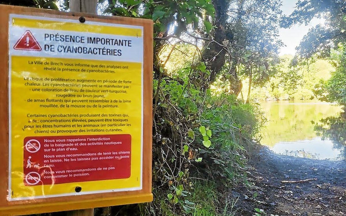 Des bactéries détectées dans l’eau : deux étangs d’Ille-et-Vilaine interdits à la baignade