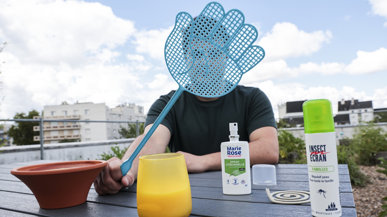 alerte aux moustiques sur l’agglomération tourangelle