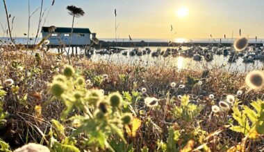 L’Œil du photographe dans le pays de Concarneau : un joli soir d’été à Trévignon