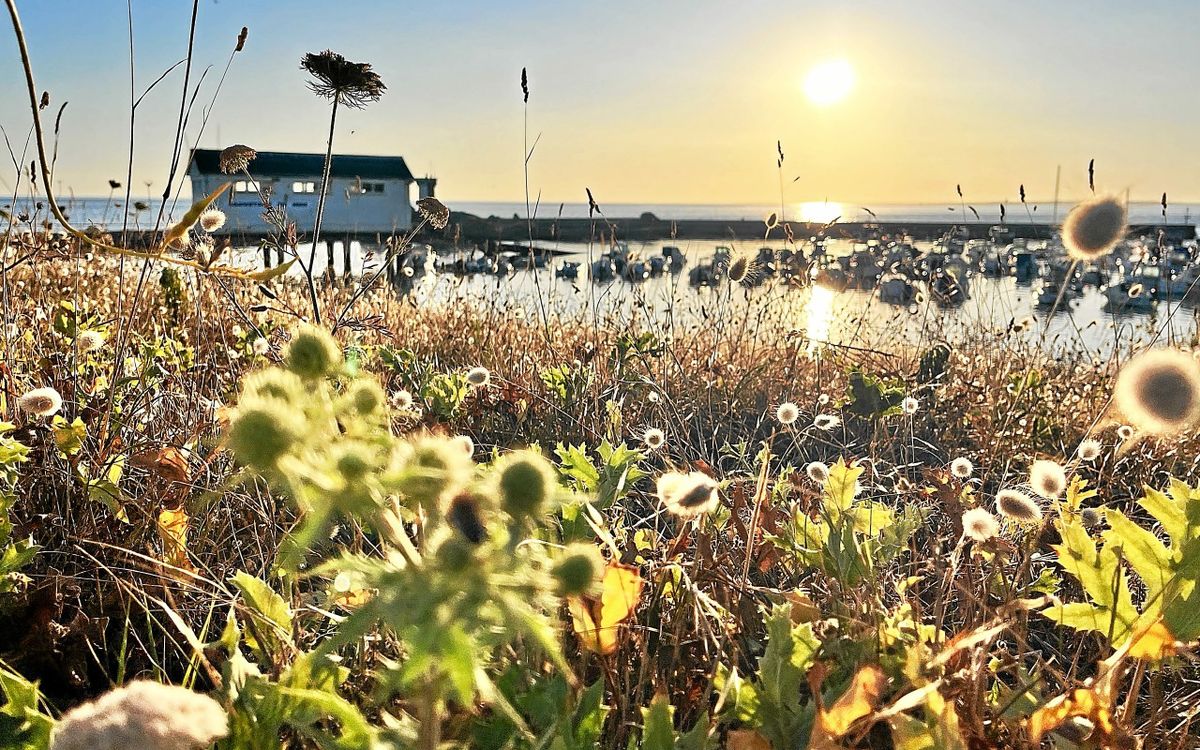 L’Œil du photographe dans le pays de Concarneau : un joli soir d’été à Trévignon