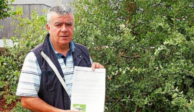 « Ce phénomène de pullulation n’a plus eu lieu en Bretagne depuis plus de dix ans » : les communes du pays d’Auray envahies par des chenilles