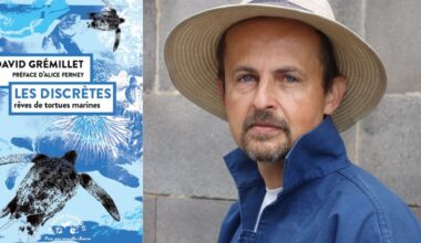 de Chizé à Montpellier, des manchots aux tortues marines