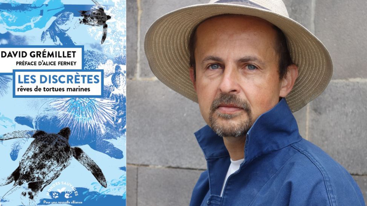 de Chizé à Montpellier, des manchots aux tortues marines
