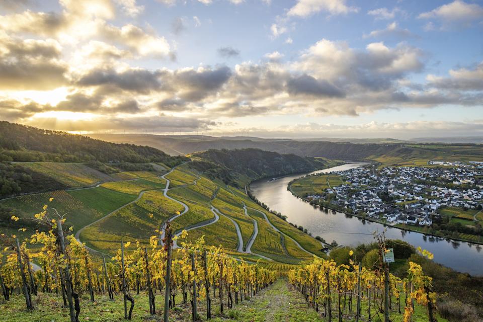 Bremm (Crédit : Getty Images)