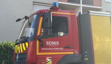 Près de Lyon : six hectares de végétation partent en fumée