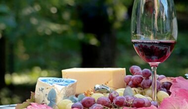 Ce vin rouge de Bordeaux médaillé d’Or passe à moins de 7 euros pendant les soldes