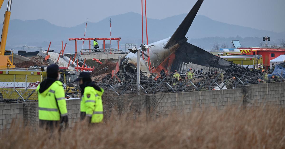 le pilote du Boeing 737-800 de Jeju Air aurait coupé le seul moteur intact avant le crash de l’avion