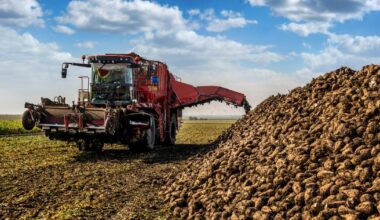 la «pilule amère» pour les betteraviers français
