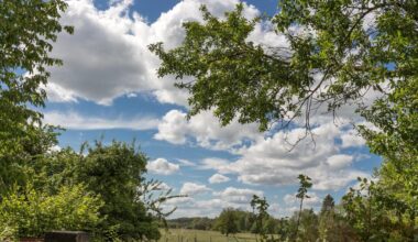 Nuages et éclaircies, c'est la tendance de ce vendredi 18 juillet 