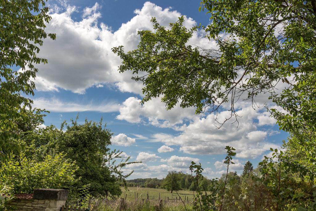 Nuages et éclaircies, c'est la tendance de ce vendredi 18 juillet 