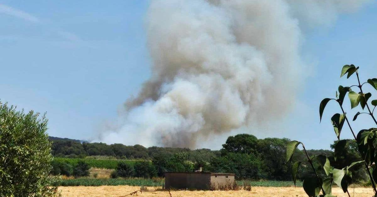incendie à Fabrègues, la circulation coupée dans les deux sens entre Montpellier et Sète