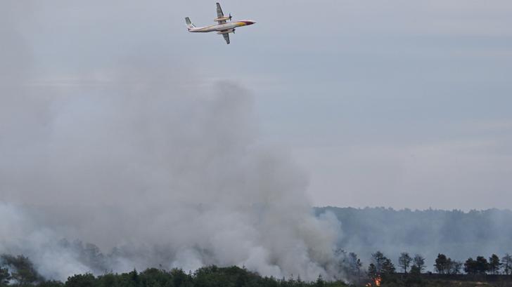 La forêt de Brocéliande a été touchée, ce jeudi 17 juillet, par un incendie important, 200 pompiers mobilisés.