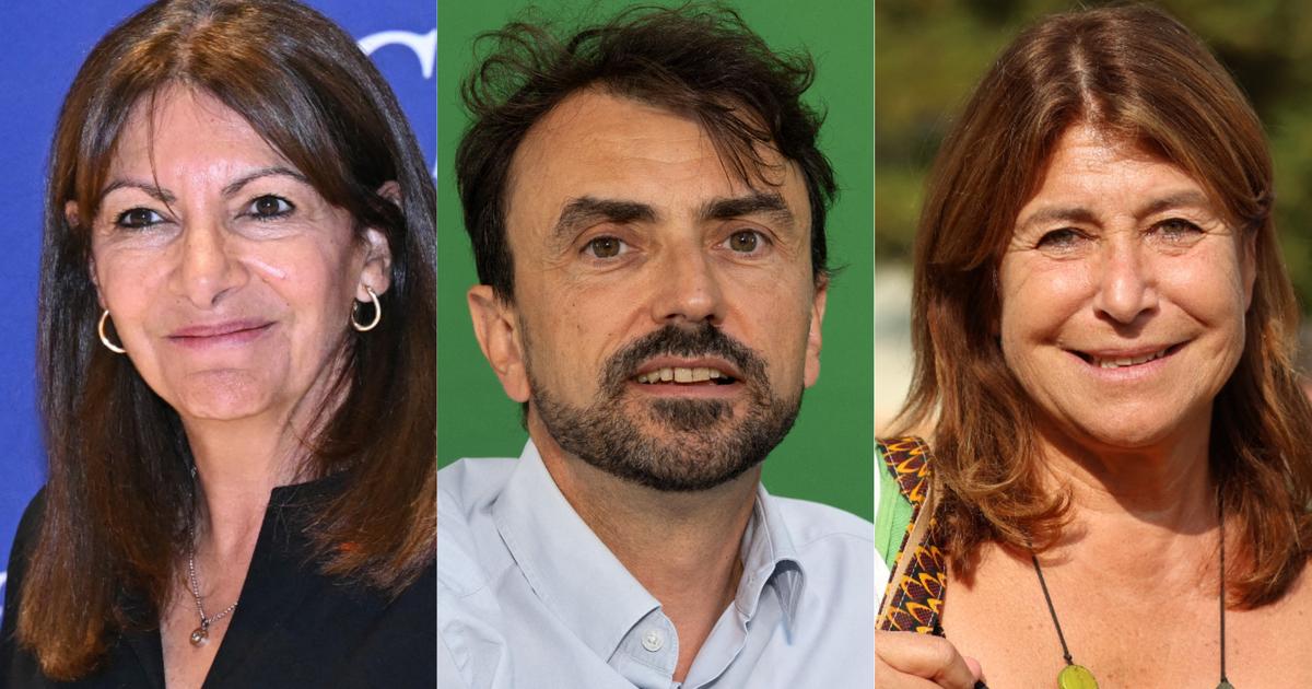 qui aurait été élu maire à Paris, Lyon et Marseille en 2020 avec le nouveau mode de scrutin ?