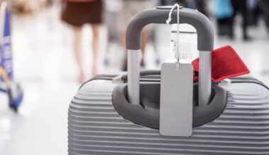 Des primes pour chaque bagage surdimensionné repéré chez easyJet font polémique au Royaume-Uni
